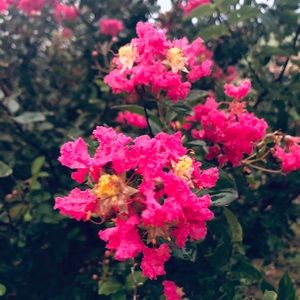 Meet your Posher, Elle